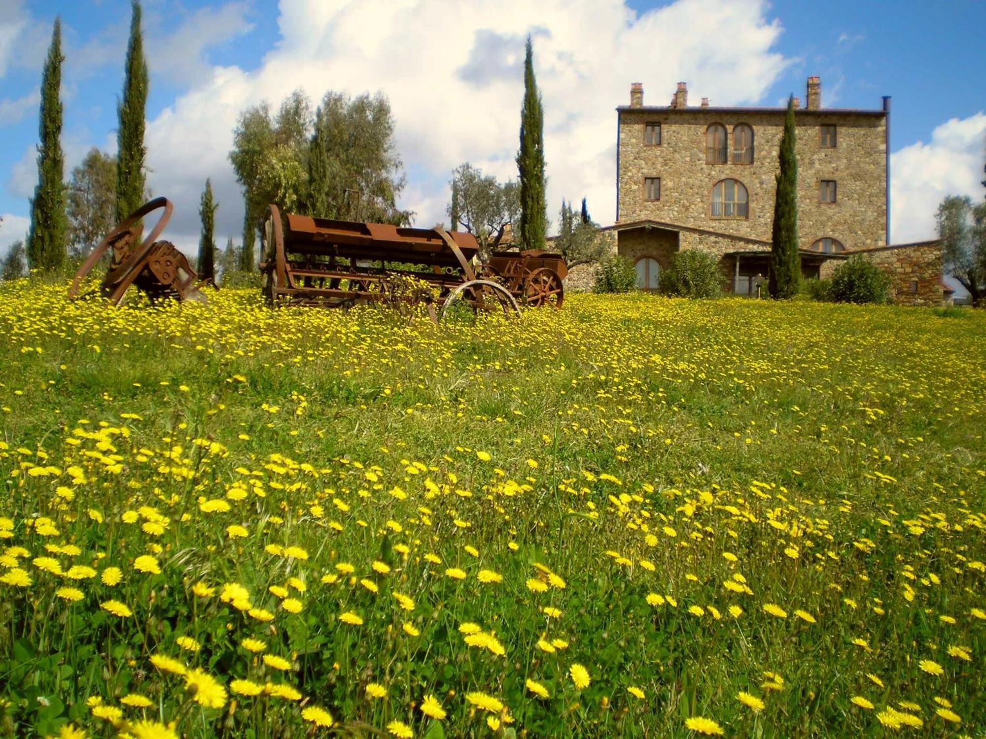 Villa Il Convento di Monte Pozzali Massa Marittima Esterno foto