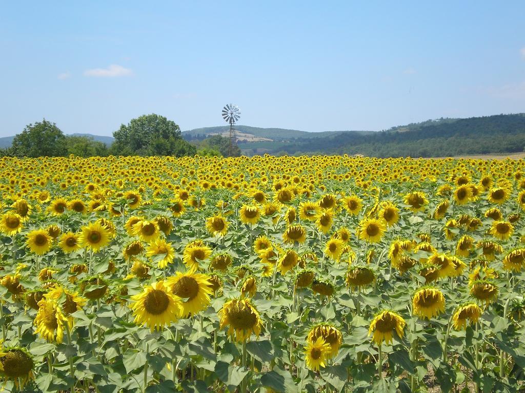Villa Il Convento di Monte Pozzali Massa Marittima Esterno foto